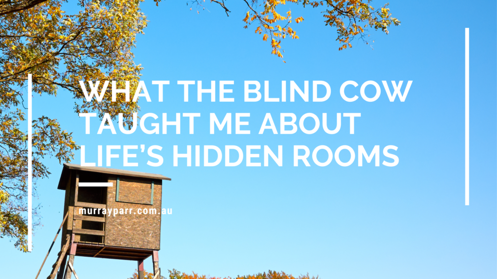 What The Blind Cow Taught Me About Life’s Hidden Rooms