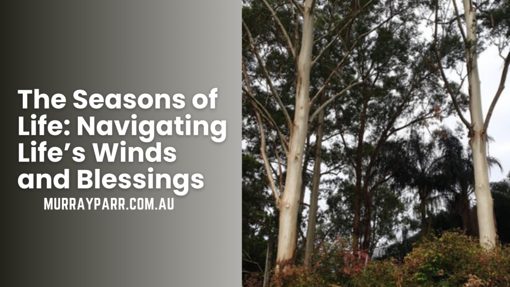 The Seasons of Life: Navigating Life’s Winds and Blessings